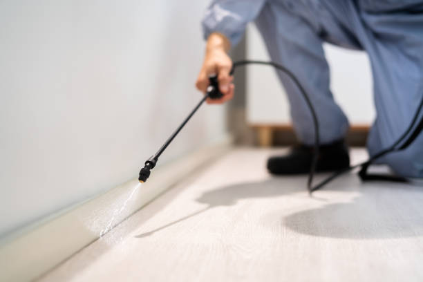 Professional exterminator conducting IPM assessment in Cedarburg